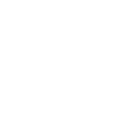 icon download